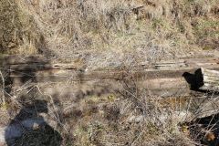 20190307-114402