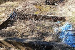 20190307-114730